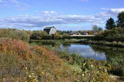 lobstickriver